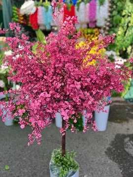 Офислар учун дарахт