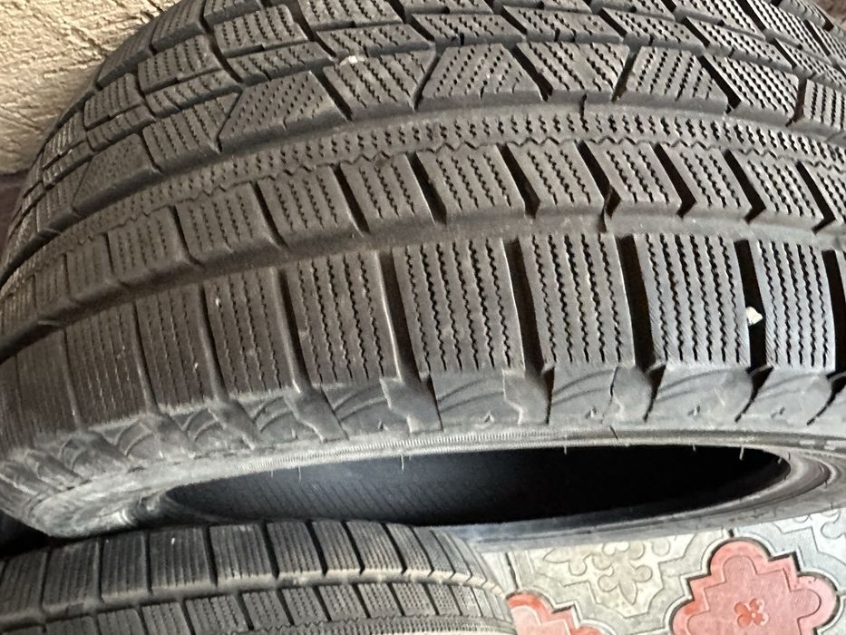 Болоный   зимний