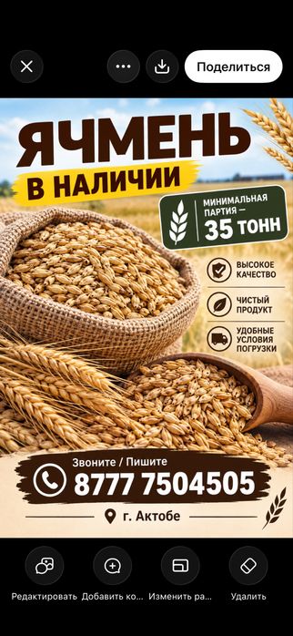 Ячмень хорошего качества