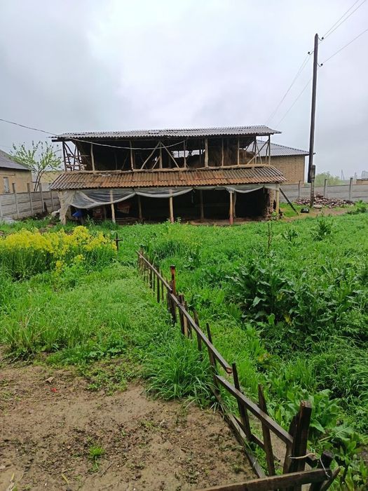 Juma bozordan bosh yer