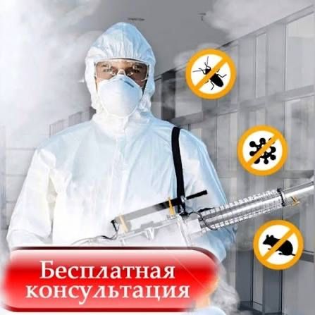 Дезинфекция Дизенфекция Дезенфекция От Тараканов Со Скидкой 4000тг Обр