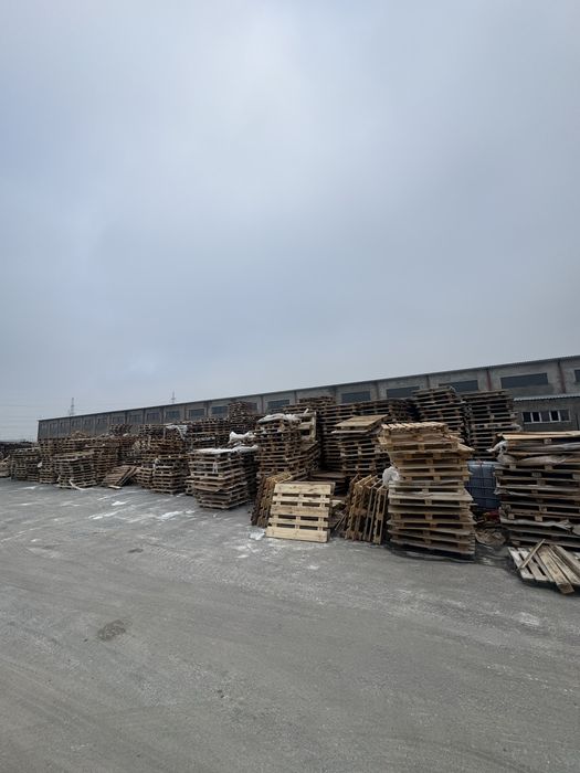 Прдам поддоны в хорошем состоянии