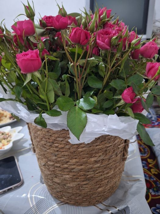 Кустовые розы новый