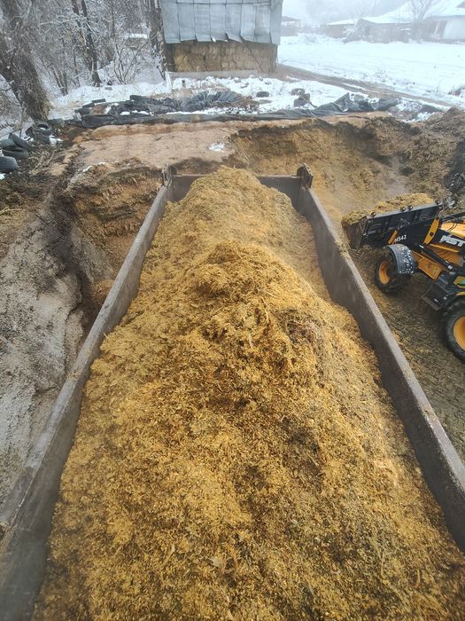 Кукуруза силос барда