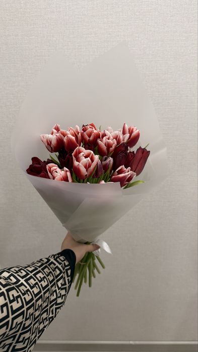 Цветы тюльпаааны