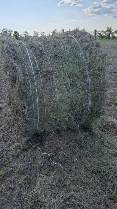 Сено рулон 300 кг разнотравье