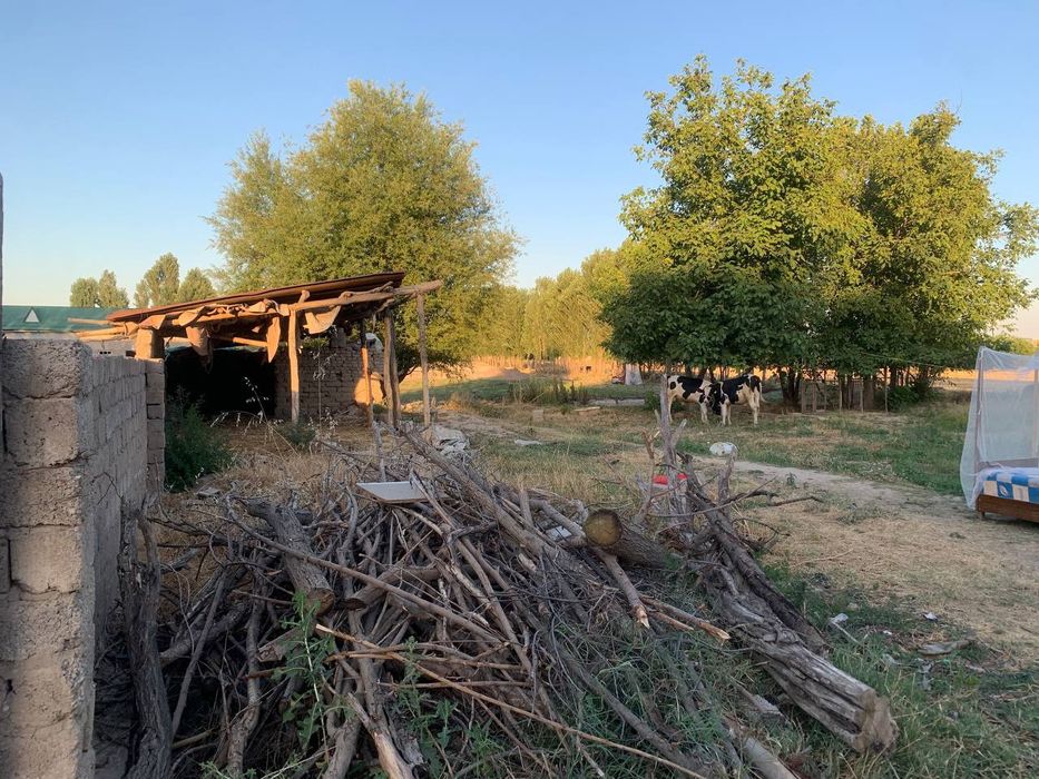 15 sotix yer sotiladi