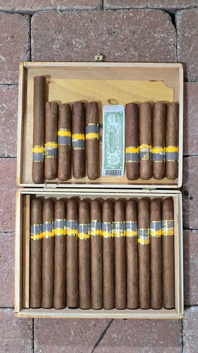 Trabucuri Cohiba 13buc mari + 8 buc mai mici + extra cutie originala