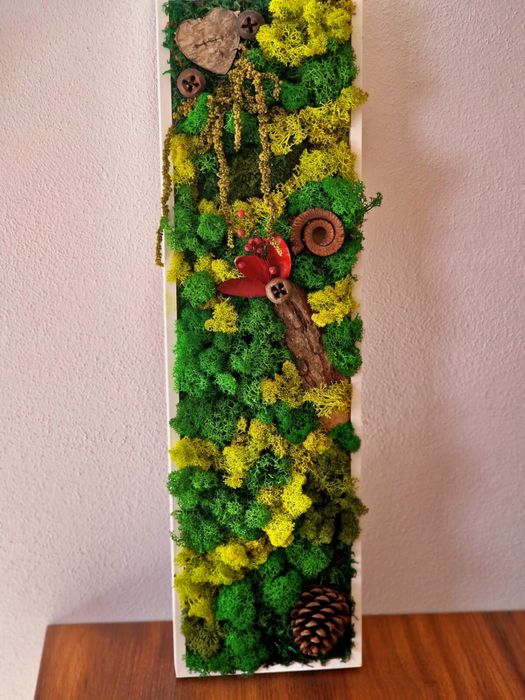 Vand tablori licheni pe comanda