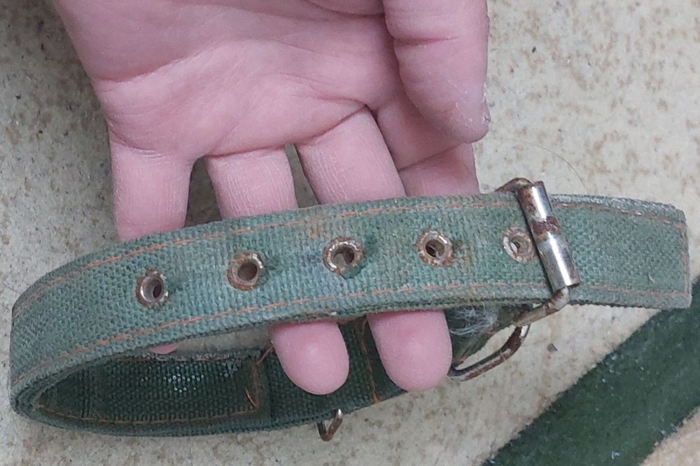 Новый Ошейник для собаки средний.