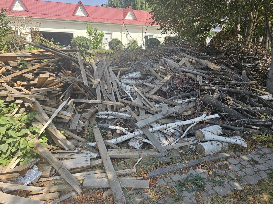 Дрова бесплатно на