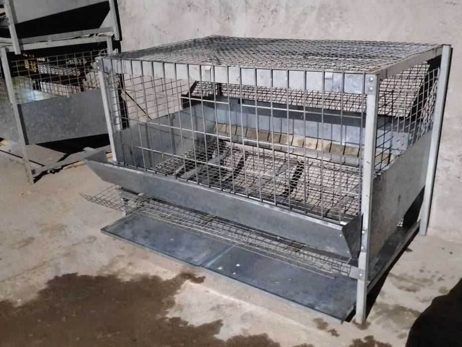 Куринная сетка продается