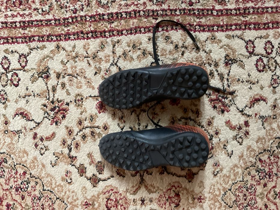 Продам сороконожки демикс