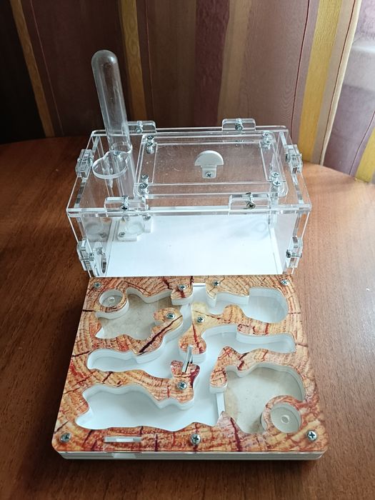 Ферма для муравьев (формикарий)