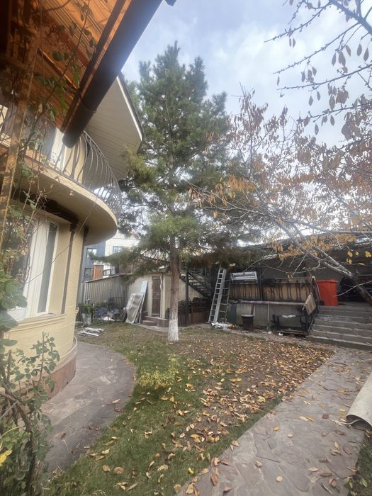 Продается сосна 10м,район Каменского плато,самовывоз.