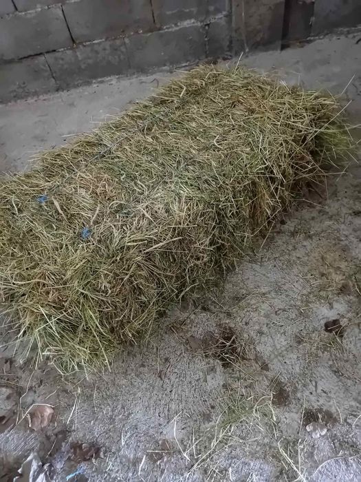 Бали сено и люцерна