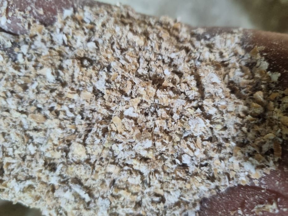 Продам отруби мучные производство Россия