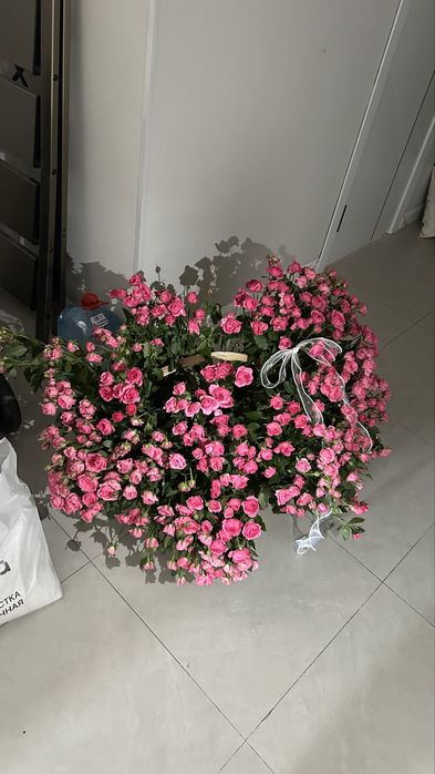 Продам цветы очень красивые