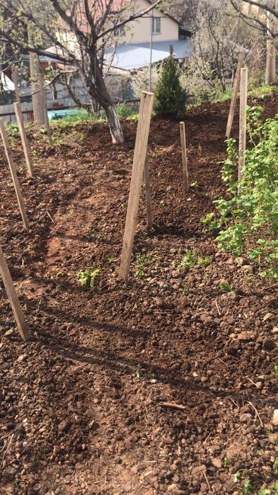 Перегной .Доставка.