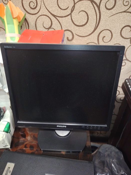 Монитор Philips Brilliance 170S (17 дюймов)