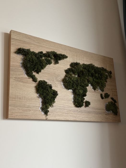Tablou cu licheni naturali pe placa de pal