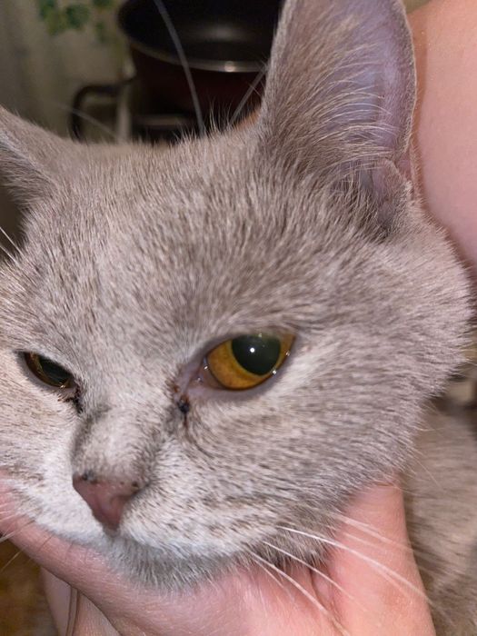 Люся гдет пол года