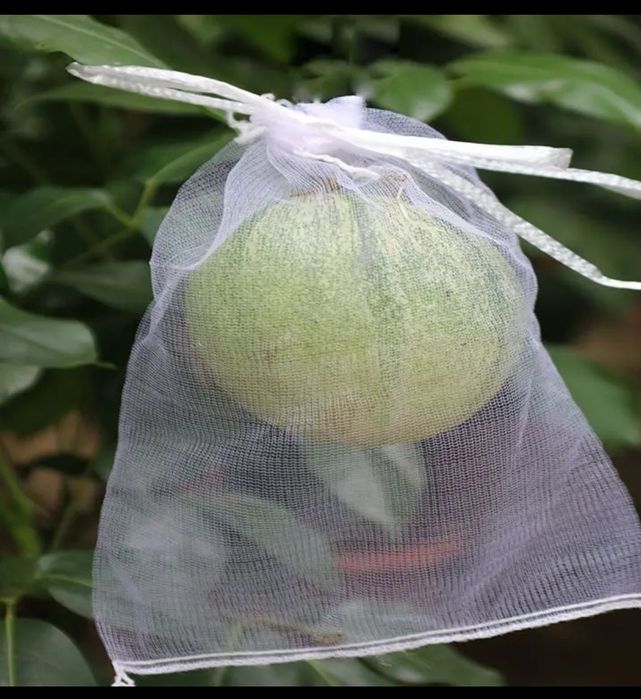 Жас қызды блять