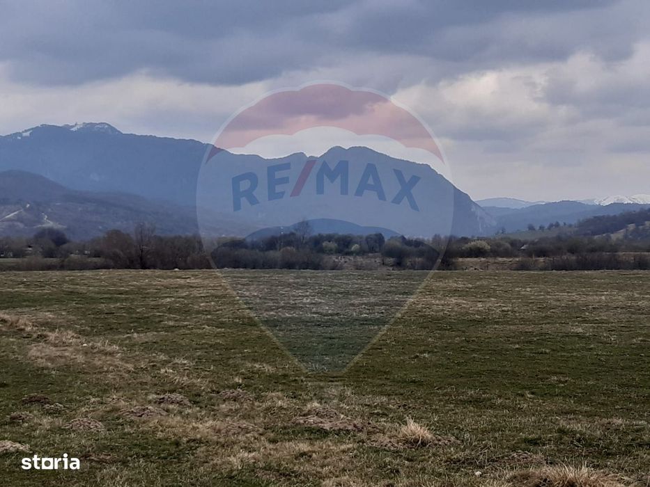 Teren 10,000mp Rasnov / Drumul Panicel