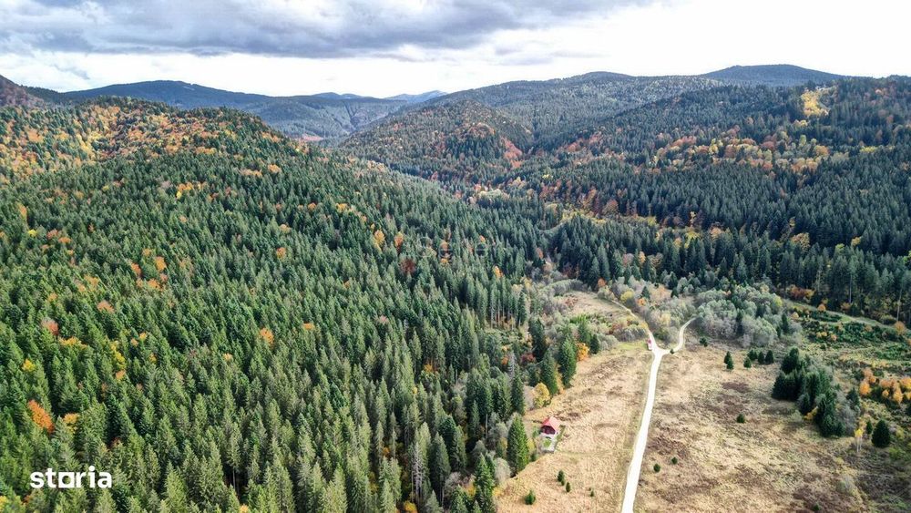 Poiana lui Manole - teren Intravilan