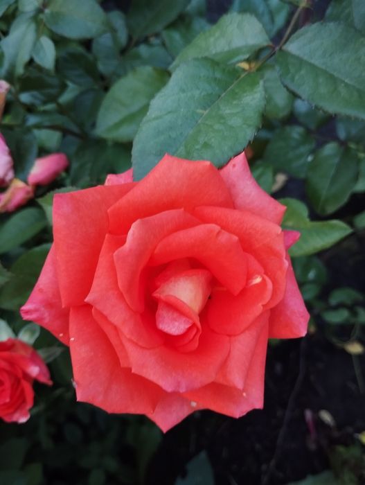 Продам кирпичный дом