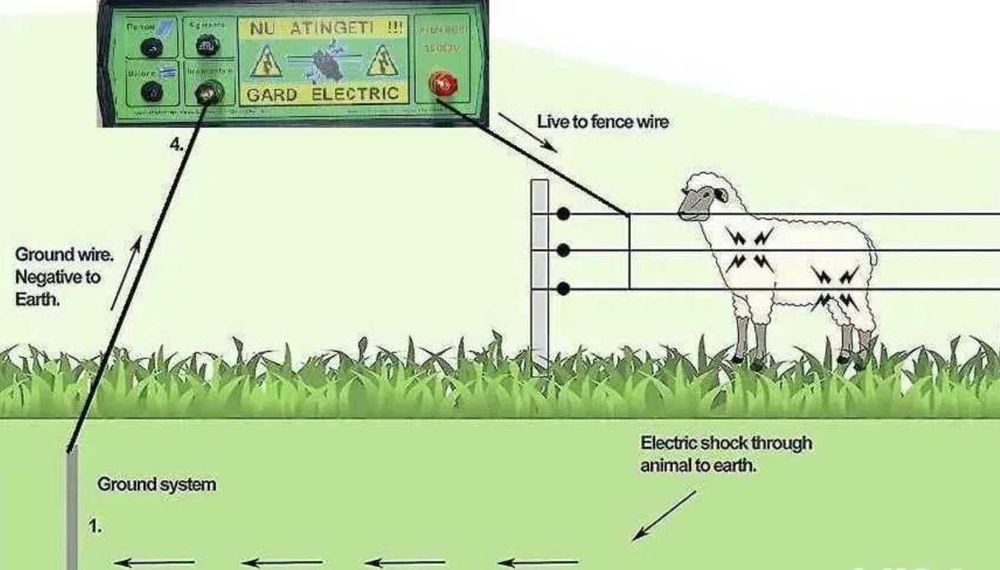 Pachet pentru gard electric 6j Vaci Oi Cai 1Ha 500m TRANSPORT GRATUIT