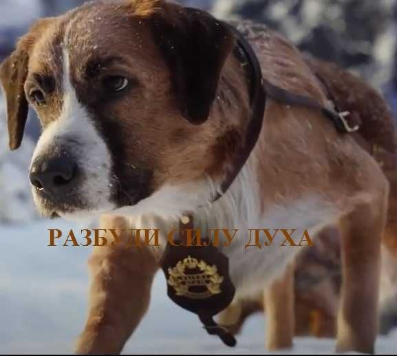 Здоровье навсегда. Душевное равновесие. Психолог- Гипнолог в Ташкенте