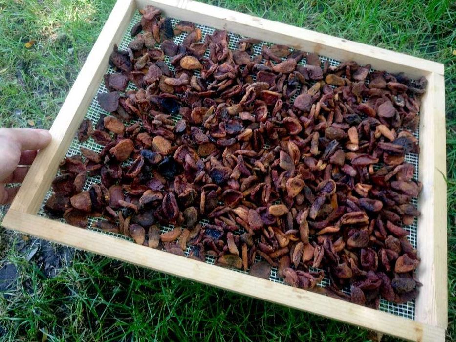 Fructe Uscate – 100% NATURALE
