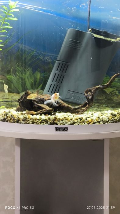 Аквариум фирмы Tetra