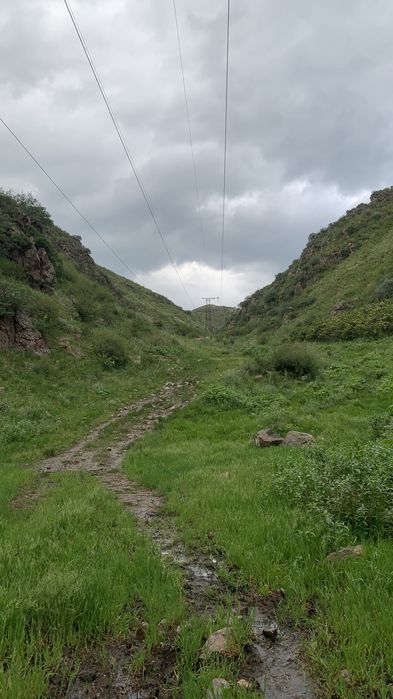 Участок 19,5 гектаров