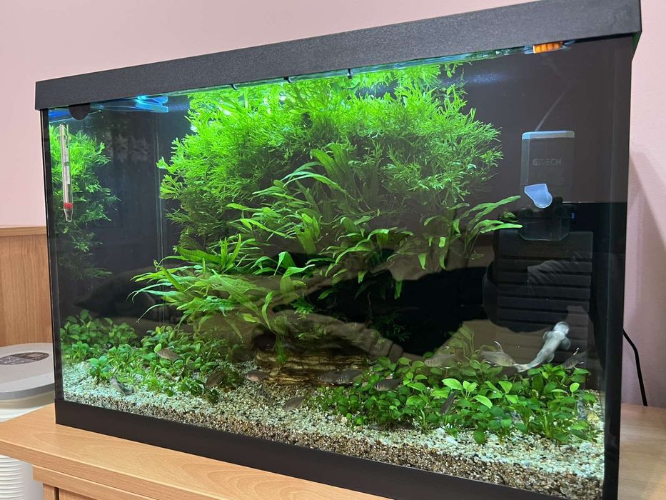 Аквариум  AquaEl
