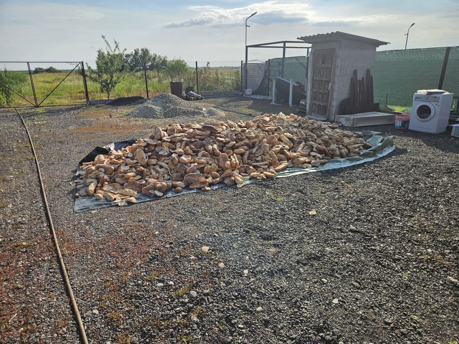 Pâine Rebut de Calitate pentru Animale