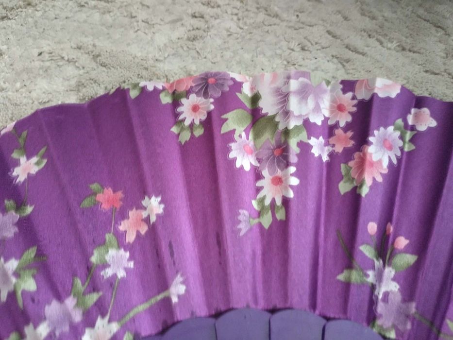 Ветрило от Виетнам