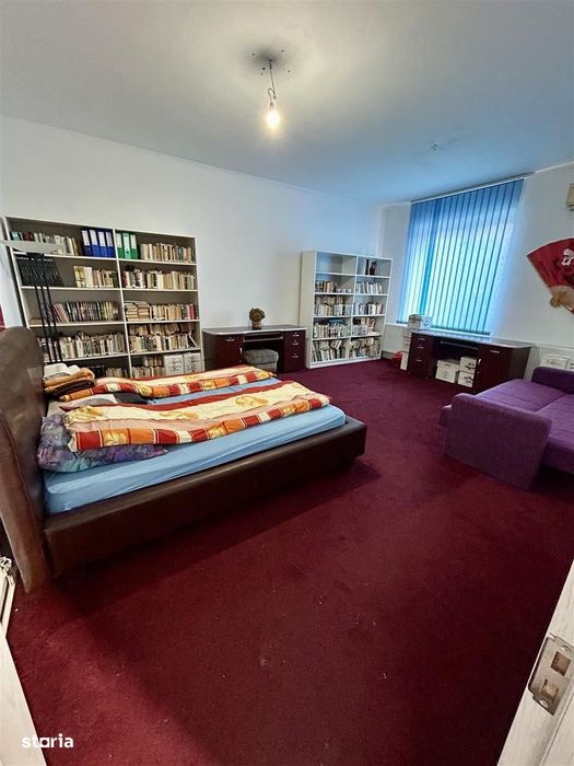 Spatiu Comercial Sacueni