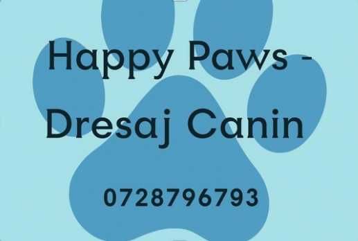 Dresaj, disciplină și socializare canină