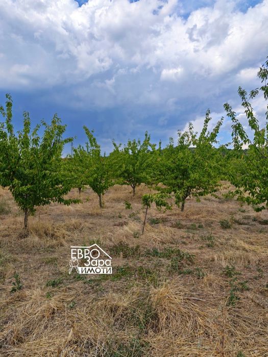 Голям парцел за продажба в село Кирилово