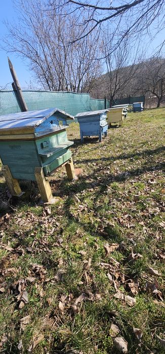 Пчелни кошери 17 броя