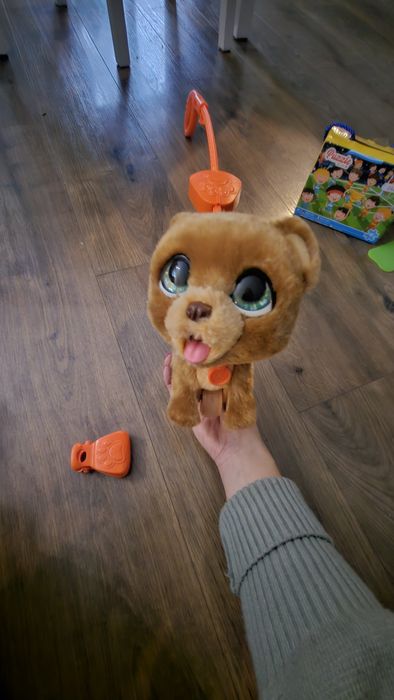 Catel de jucarie Pet