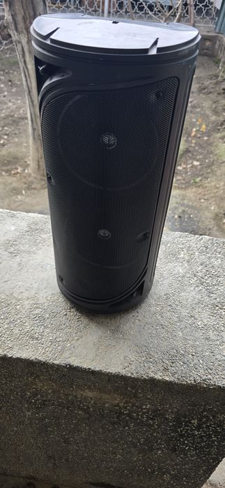 Калонка мошинага