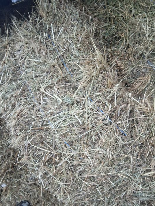 Baloti de fan de vanzare