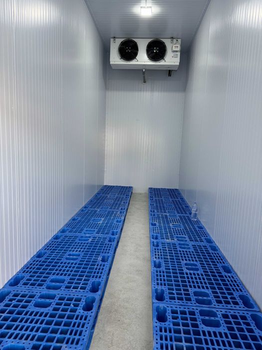 Холодильная камера в аренду / Muzlatgich kamera arendaga