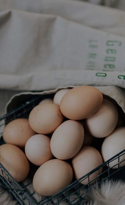 Zotli Kulangi Turk,Shamo,Koreys tuxumlari sotiladi