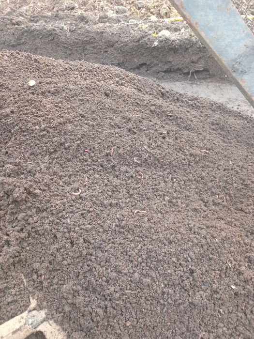 Biogumus sotaman sifati alo darajada