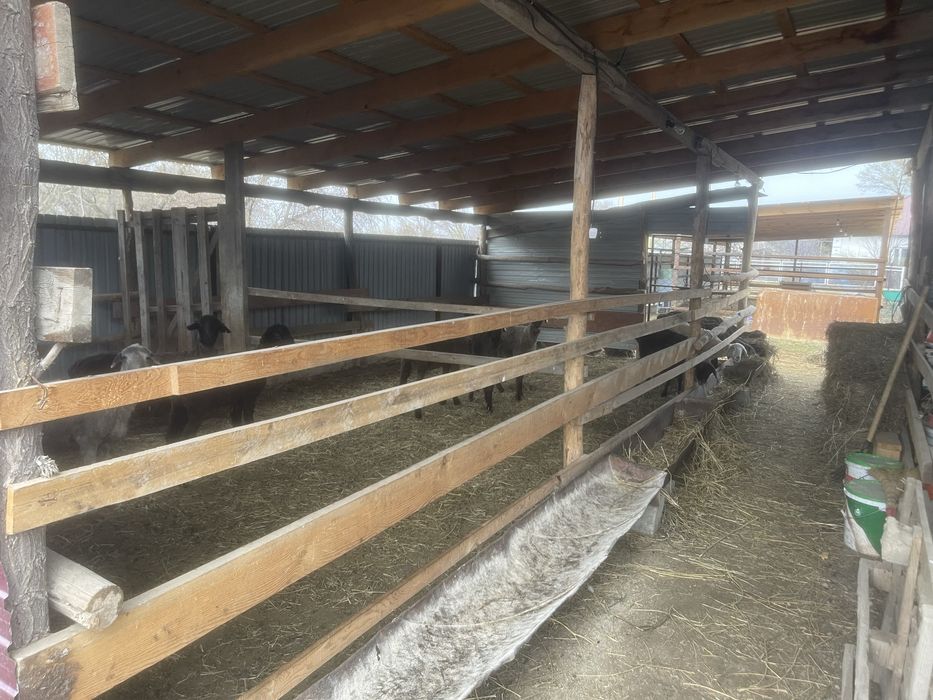 Продам дом откорм база