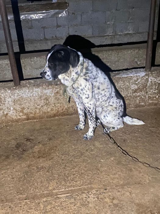 Сатылады срочна урғаш